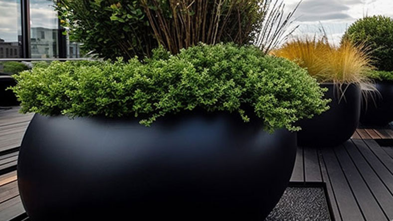 Paisajismo de jardín creativo
