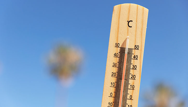 Regular temperatura de estufa de pellets