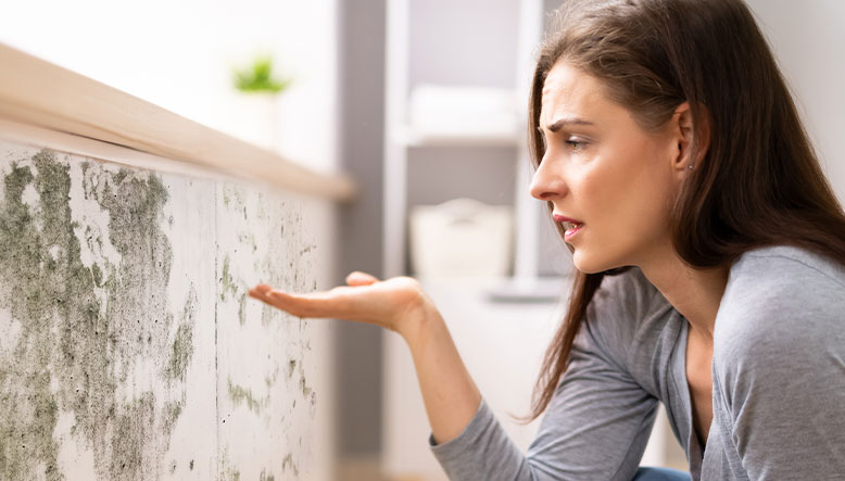 Como prevenir el moho en tu hogar